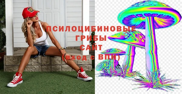 ALPHA-PVP Алексеевка