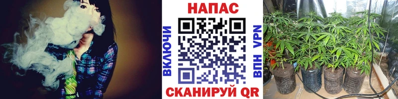 Бошки Шишки ГИДРОПОН  закладки  Тавда 